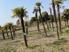 -歌斐颂巧克力小镇