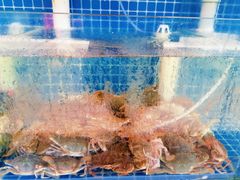 -名超海鲜烧烤大排档