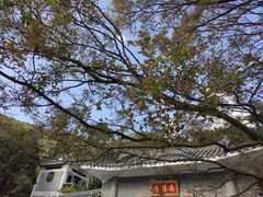 -罗浮山-南楼寺