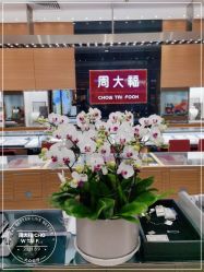 -周大福 CHOW TAI FOOK(新世界百货崇文店)
