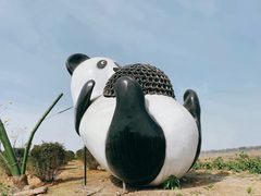 -空港花田景区