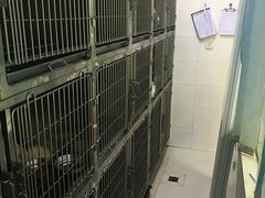 -瑞鹏宠物医院·微创内窥镜·骨外科·牙科(翠竹分院)