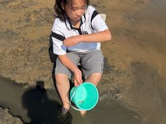 -碧海金沙