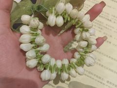 -福建鲤鱼洲酒店