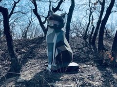-云蒙山风景区