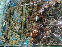 -北海金昌开元名都大酒店·四季轩中餐厅