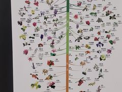 -杭州植物园