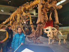 -墨尔本博物馆(Melbourne Museum)