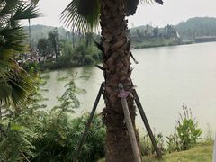 -枫香湖儿童公园