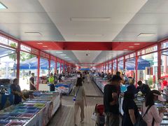 -大湾区中央湿地公园-十九涌