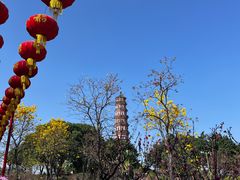 -广州莲花山旅游区