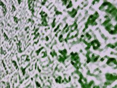 -花盐街·四川乐山小吃(西单大悦城店)