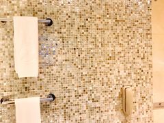 -国家会议中心大酒店