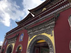 -塔尔寺菩提树