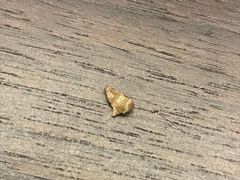 -喜茶(上海兴业太古汇店)