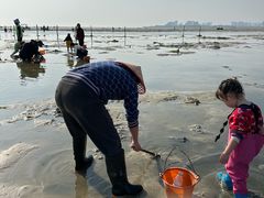-北海金海湾红树林生态旅游区