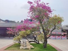 -香山湖公园