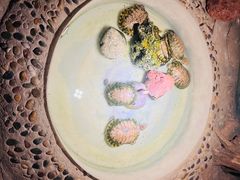 -天津zoonly动物主题公园