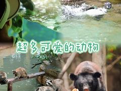 -长鹿旅游休博园