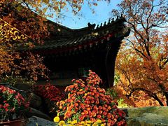 -香山公园