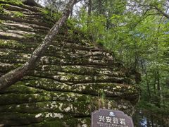 -汤旺河林海奇石景区
