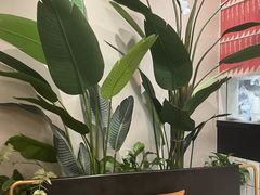 -必胜客(百联又一城店)