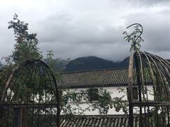 -喵屿·大理花园猫咖