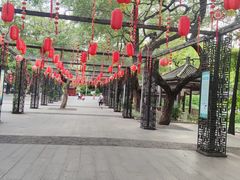 -荔湾湖公园