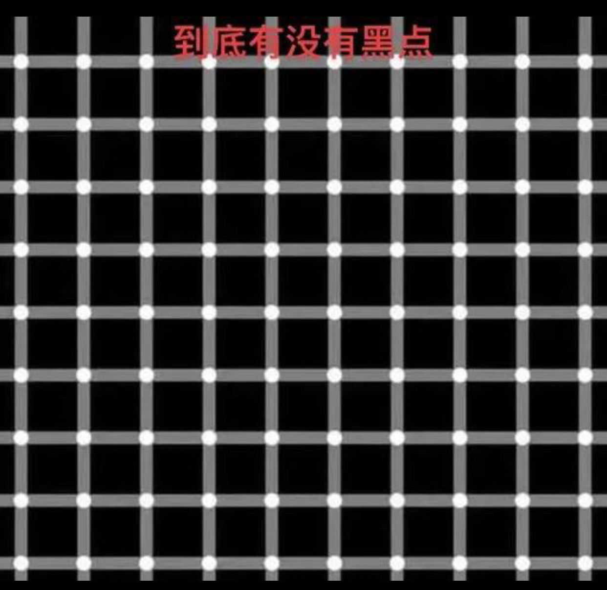 你的眼睛👀有欺骗到你吗