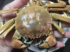 大闸蟹-丫丫蟹庄·苏式园林农家乐·阳澄湖大闸蟹(阳澄湖莲花岛店)