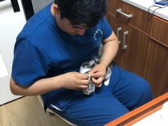 -美联众合宠物医院·爱萌分院·内外科·猫科中心