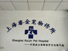 -睿金宠物医院·CT·肿瘤·骨外科