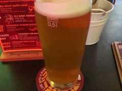 右勾拳德式淡色拉格-Boxing Cat Brewery拳击猫精酿啤酒馆(永福店)
