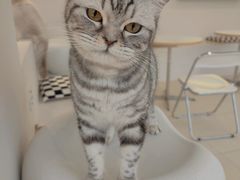 -怪兽屋·羊驼·猫咖·狗咖(俊华广场店)