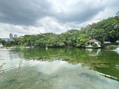 -侨美·唐荔园·40年地道粤菜