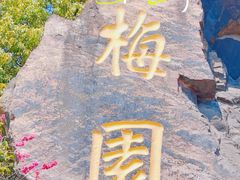 -无锡梅园公园