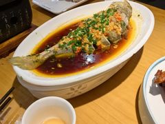 -大鸽饭(马王堆店)
