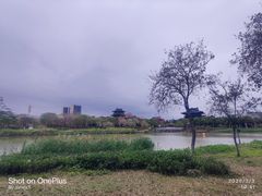 -海珠湖公园