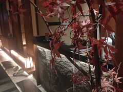 -揽季锅物会.福建黄鱼.海鲜姿造(五四路店)