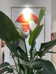 -源素美容养生会所