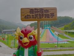 -吉林市朱雀山国家森林公园