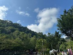 -野象谷景区