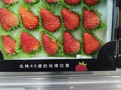 -盒马鲜生(文景博乐里购物广场店)