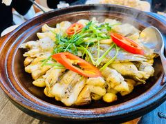 砂锅焗多宝鱼-美极鲜食坊(宝安南路店)