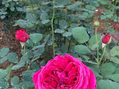 -人民公园(罗湖区)