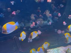 -海合安青岛极地海洋公园