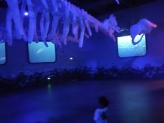 -北戴河圣蓝海洋公园