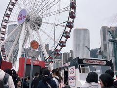 -富豪雪糕车流动点(尖沙咀)
