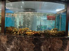 -江滨国际大酒店-珍宝轩海鲜大酒楼
