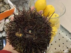 -HIHE Bistro·Oyster Bar(华熙live店)